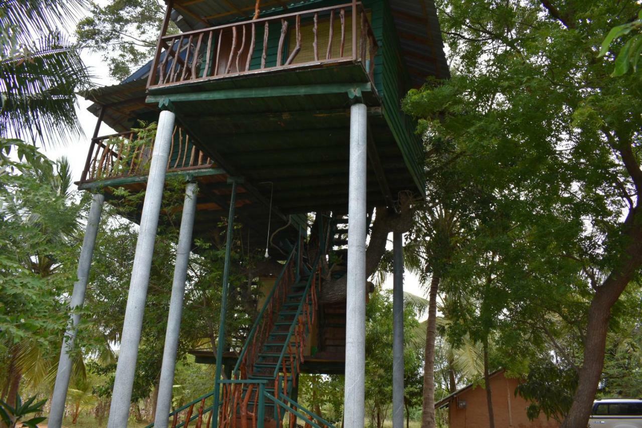 Yala Eco Tree House New Hotel Tissamaharama Exterior photo